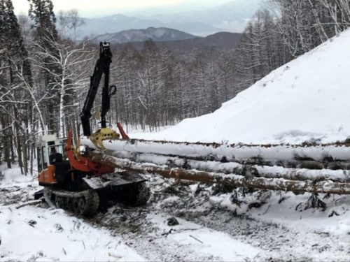 Лесозаготовительная техника из Барнаула