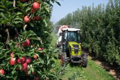 claas: на российский рынок выведен узкоколейный трактор nexos