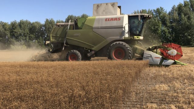 claas tucano: опыт уборки масличного льна